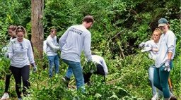 Midwestern University students clearing brush for a service project.