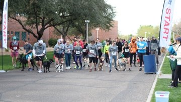 dogs and owners run 5k race.