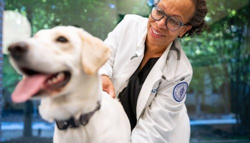 Dr. Patterson with a patient