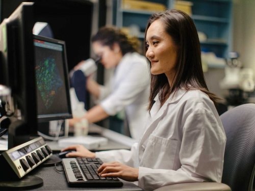 Student sitting at computer in lab